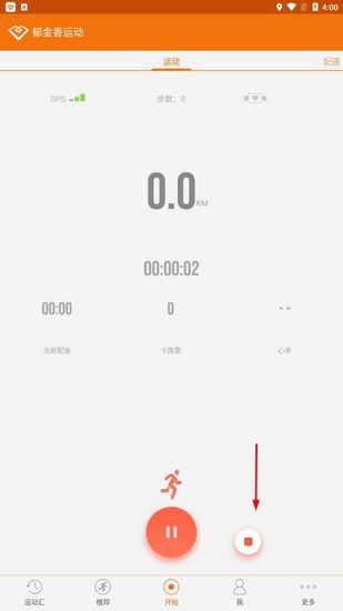 郁金香运动图片