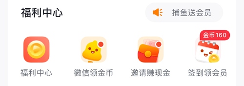 爱奇艺随刻版ios版怎么领会员
